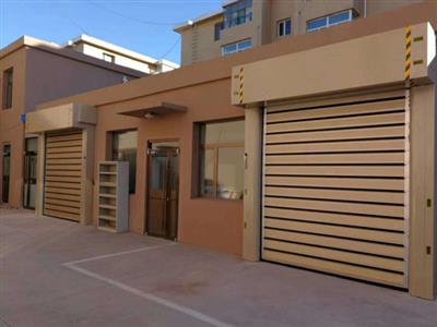 硬質(zhì)快速門 硬質(zhì)快速門